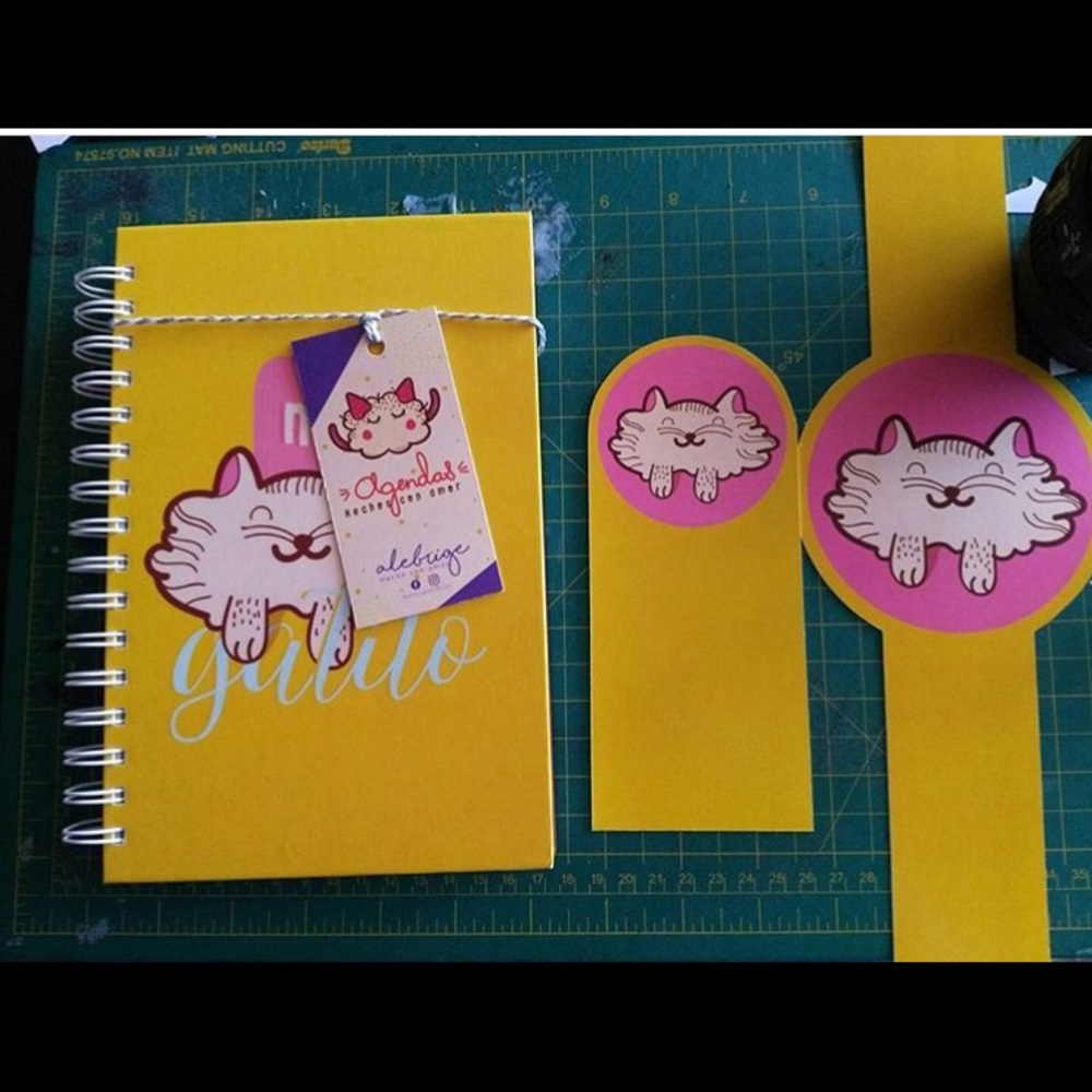 journals - Picture 4 of 4